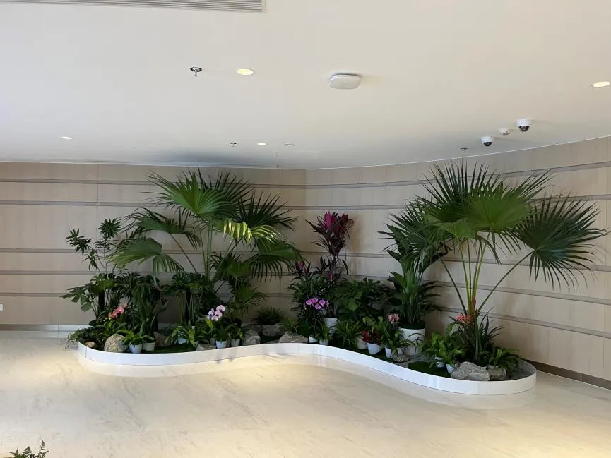 找海曙绿化修剪服务？这家好到让你连连称赞！